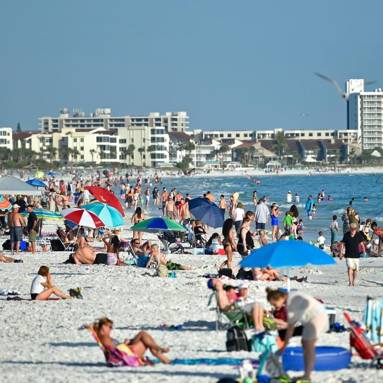 10 best beaches to visit in SarasotaManatee and what to do when you